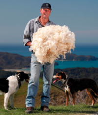 Wools of New Zealand - Huddersfield Textile Society October Lecture