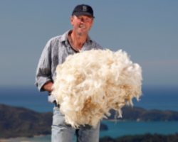 Wools of New Zealand - Huddersfield Textile Society October lecture